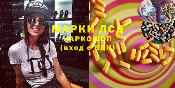 стафф Заводоуковск
