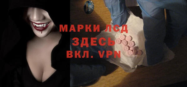 стафф Заводоуковск