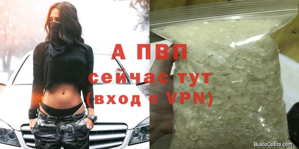 стафф Заводоуковск