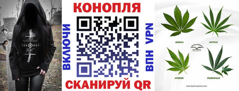 Марихуана VHQ  Купить закладки  Котово 
